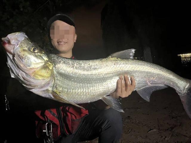 开云体育官网-生态治理还是高价钓鱼?西昌邛海4000元钓鱼年卡引质疑 律师:如此收费无法律依据